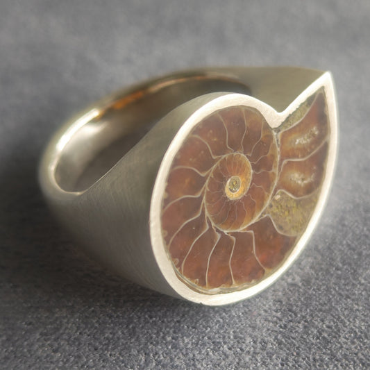 No.0007 アンモナイト シグネットリング #17