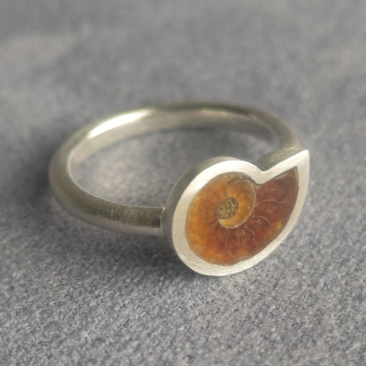 No.0027 アンモナイト リング - Small #13