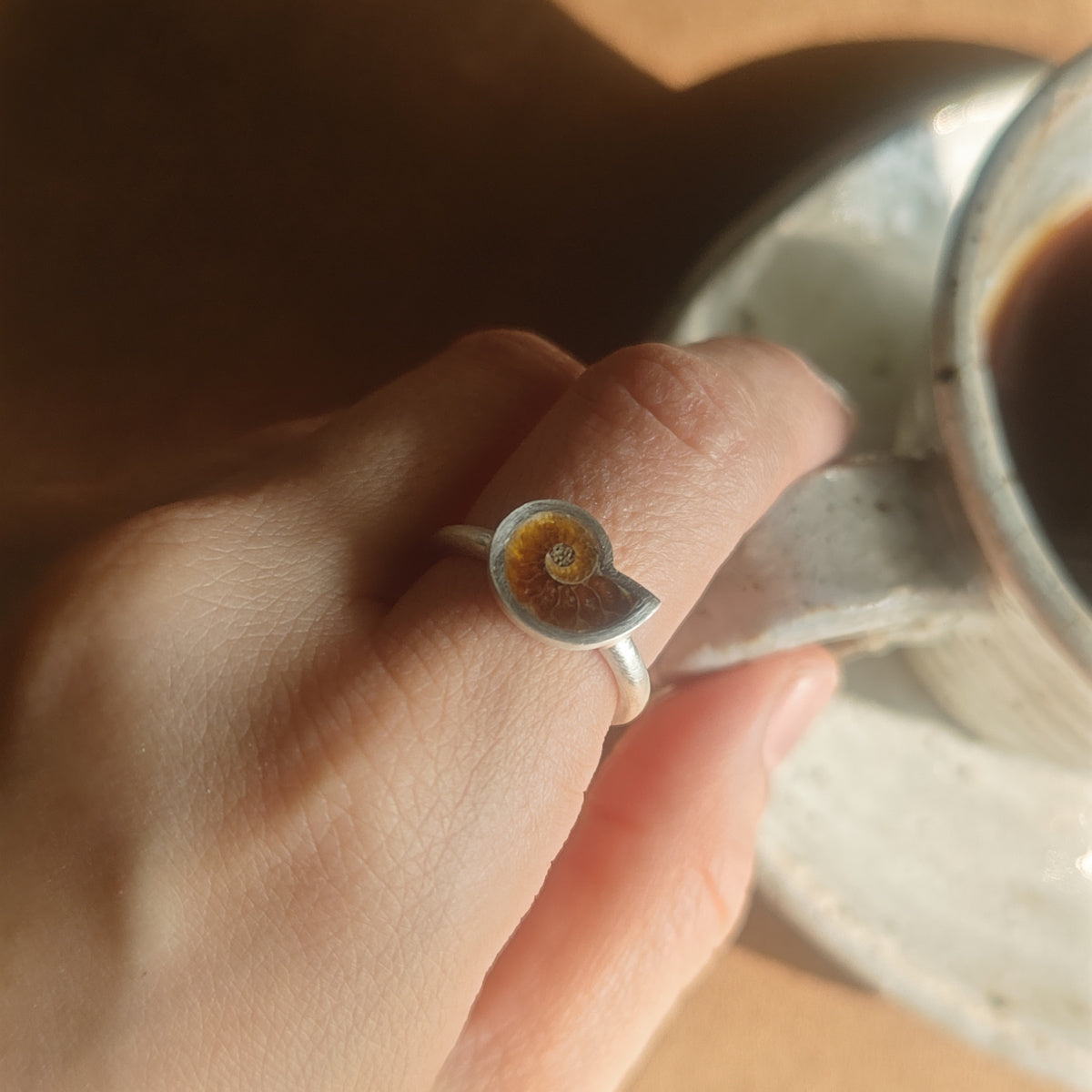 No.0027 Ammonite Ring - Small #13