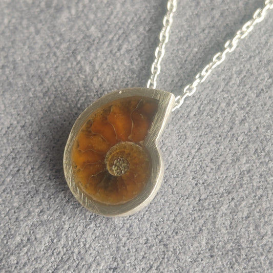 No.0028 アンモナイト ネックレス - Small