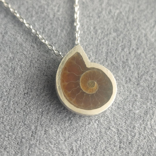 No.0029 アンモナイト ネックレス - Small