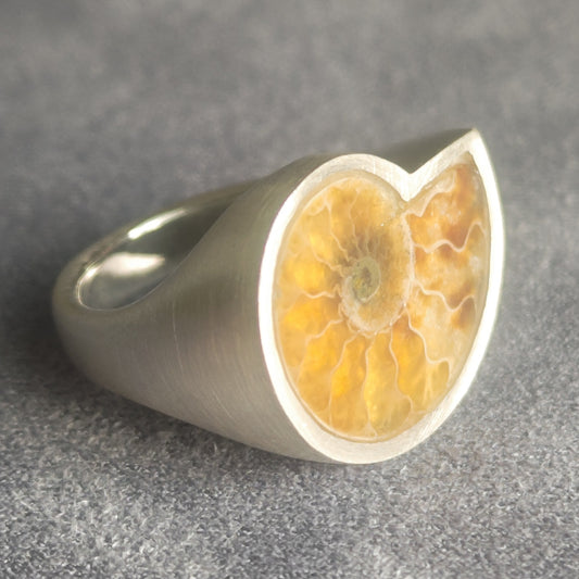No.0012 アンモナイト シグネットリング #13