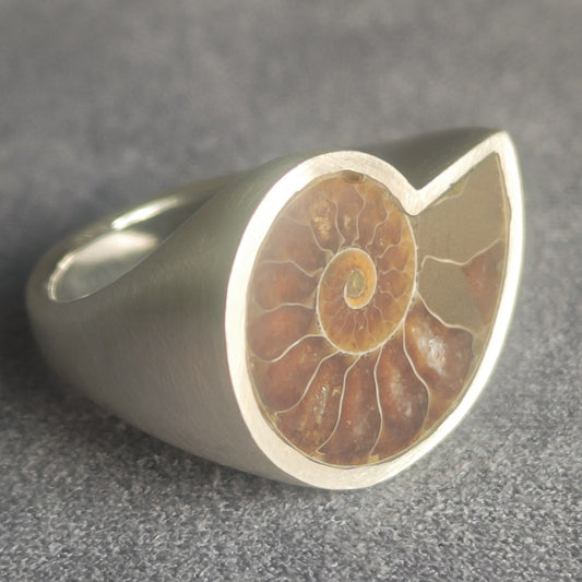 No.0014 アンモナイト シグネットリング #17