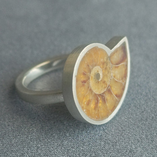 No.0019 アンモナイト リング #11