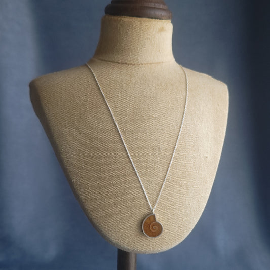 No.0021 アンモナイト ネックレス