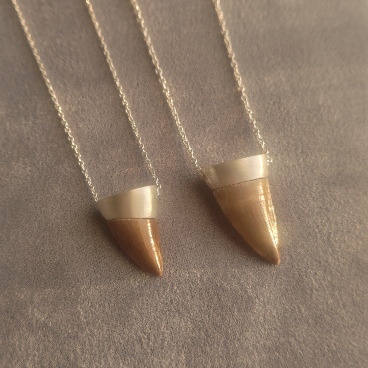 No.0017 モササウルスの歯 ネックレス