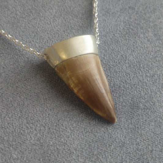 No.0016 モササウルスの歯 ネックレス