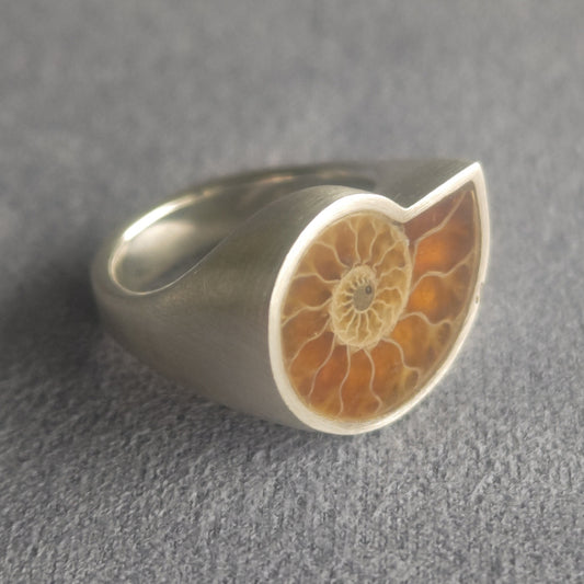 No.0034 Ammonite Signet Ring #7