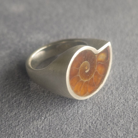 No.0035 Ammonite Signet Ring #9