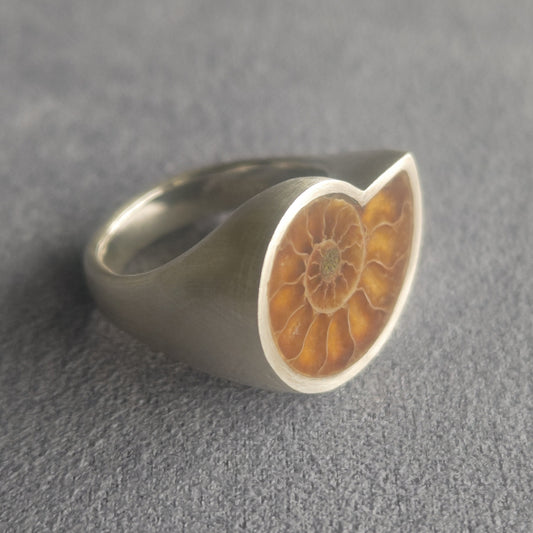 No.0037 Ammonite Signet Ring #11