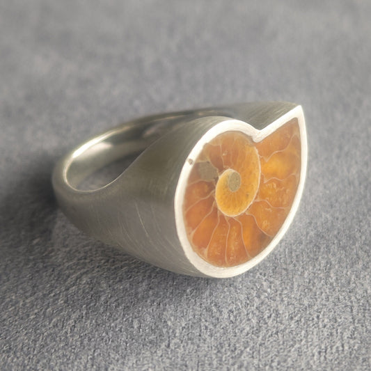 No.0038 Ammonite Signet Ring #13