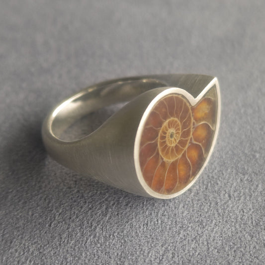 No.0039 Ammonite Signet Ring #19
