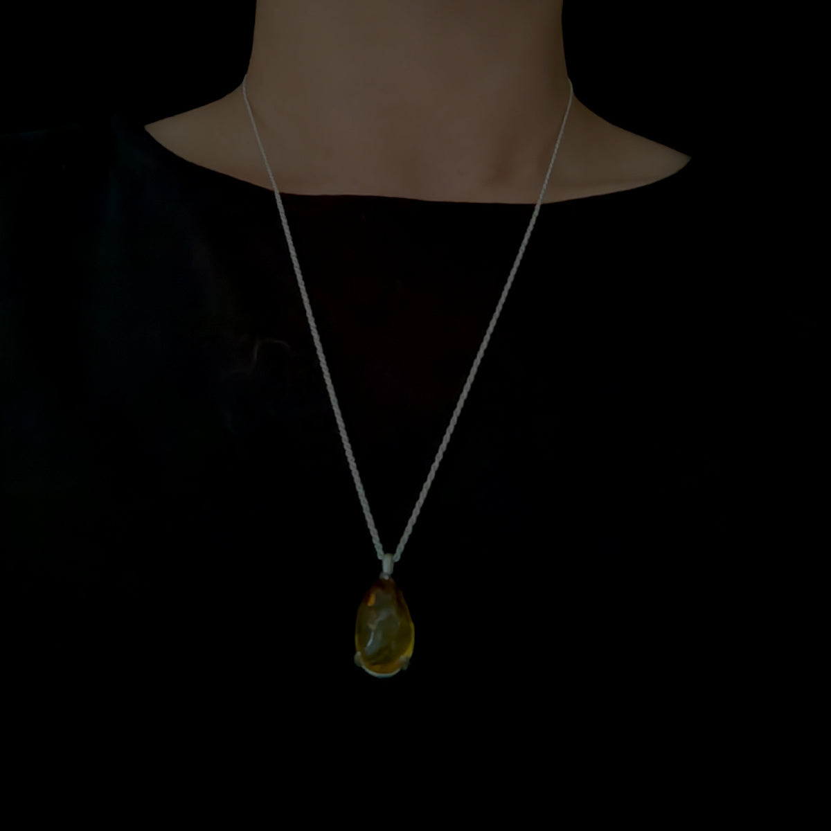 No.0064 虫入り琥珀 ネックレス