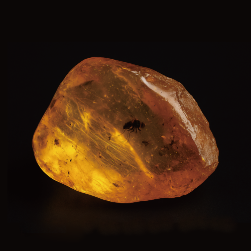Amber