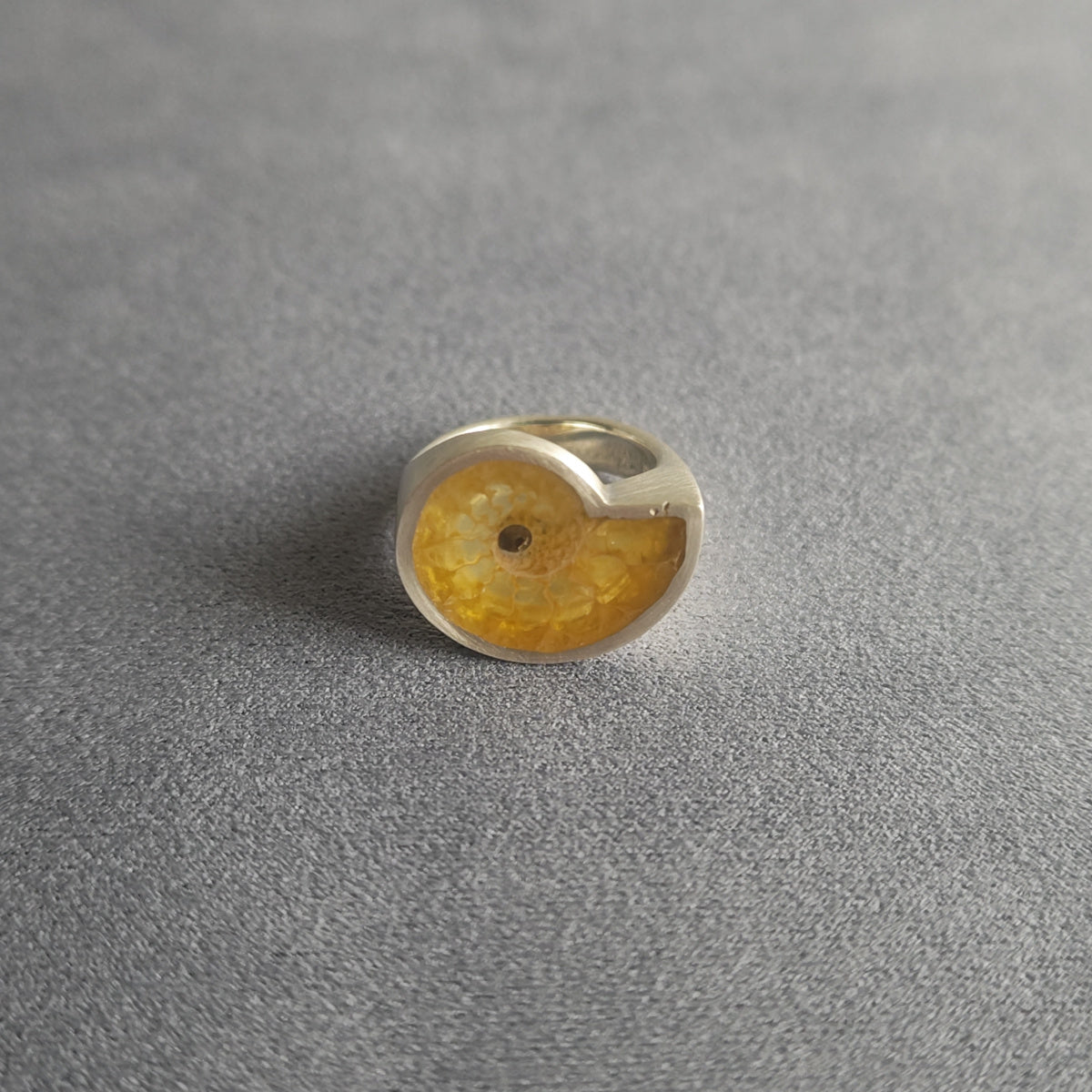 No.0003 Ammonite Signet Ring #9