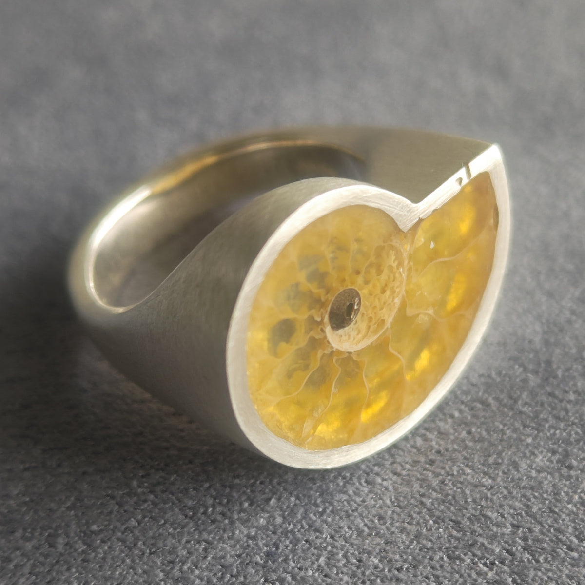 No.0003 Ammonite Signet Ring #9