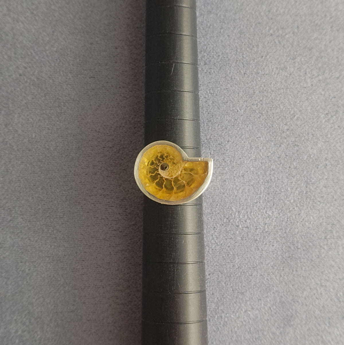 No.0003 Ammonite Signet Ring #9