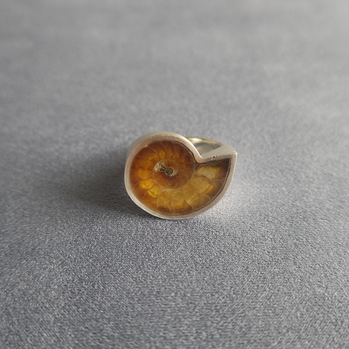 No.0004 Ammonite Signet Ring #11