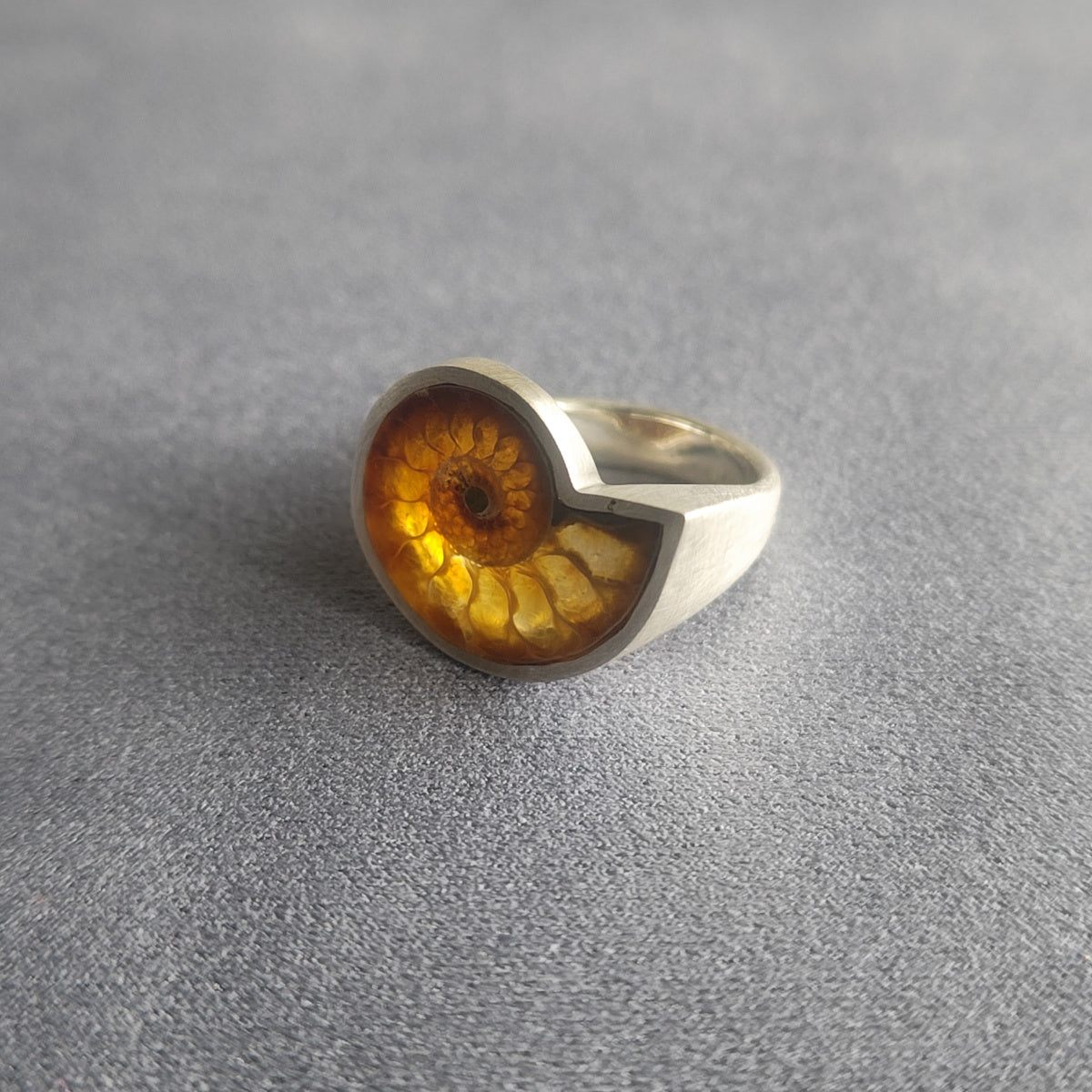 No.0004 Ammonite Signet Ring #11