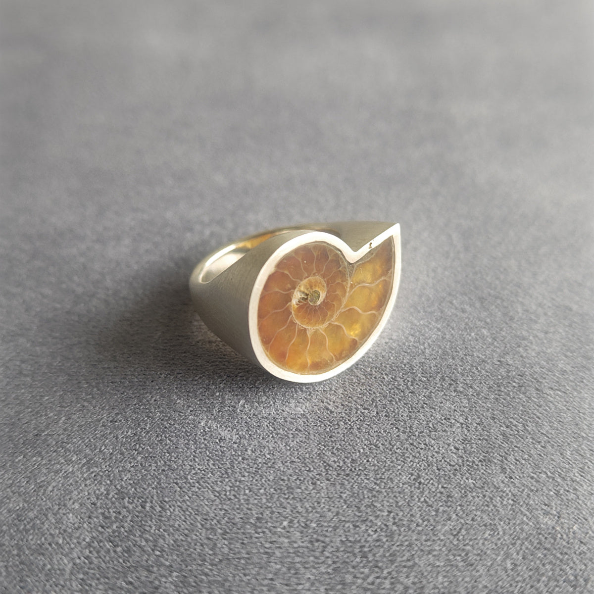 No.0004 Ammonite Signet Ring #11