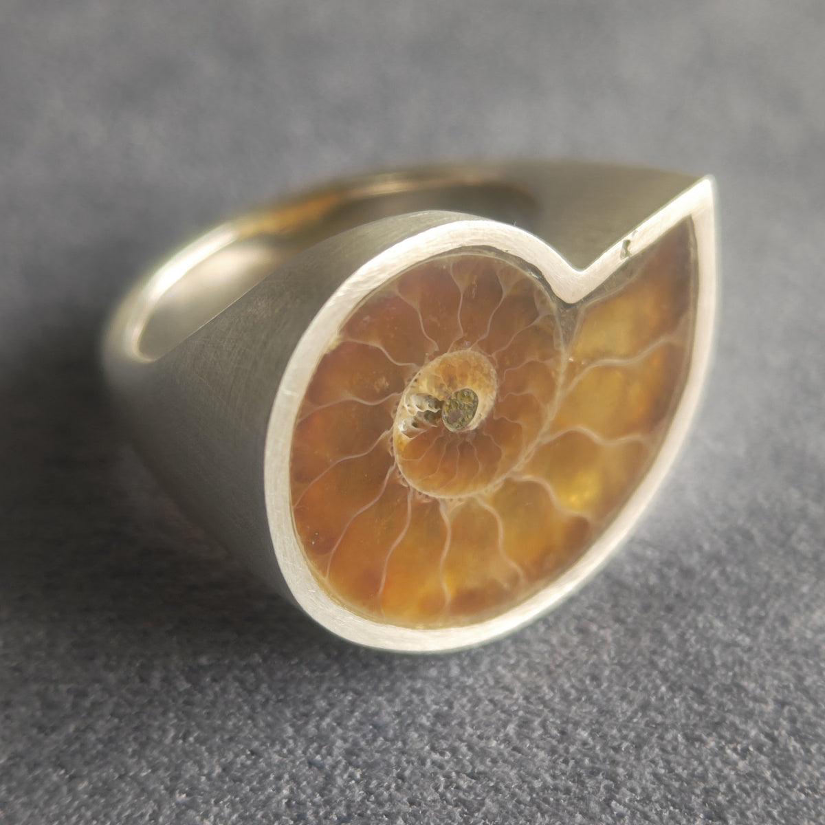 No.0004 Ammonite Signet Ring #11