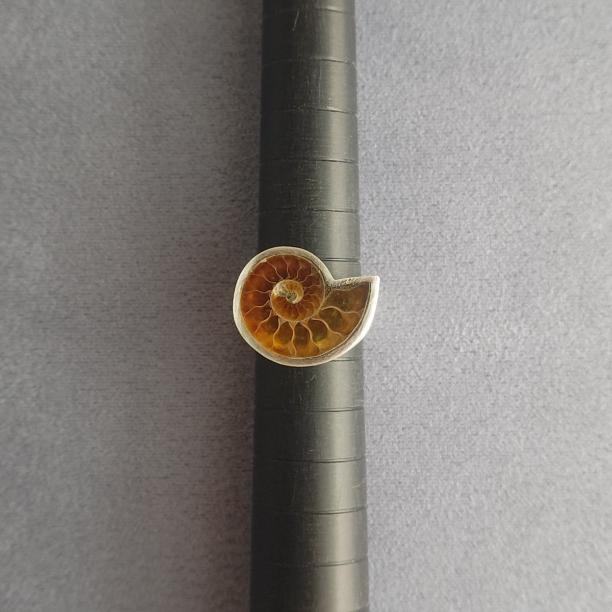 No.0004 Ammonite Signet Ring #11