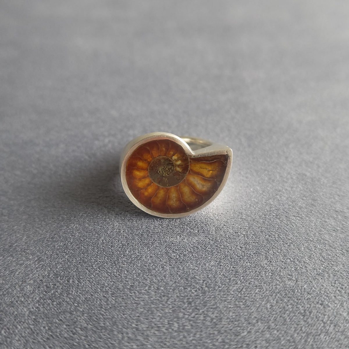 No.0005 Ammonite Signet Ring #13