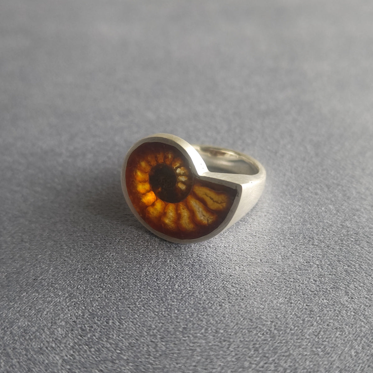 No.0005 Ammonite Signet Ring #13