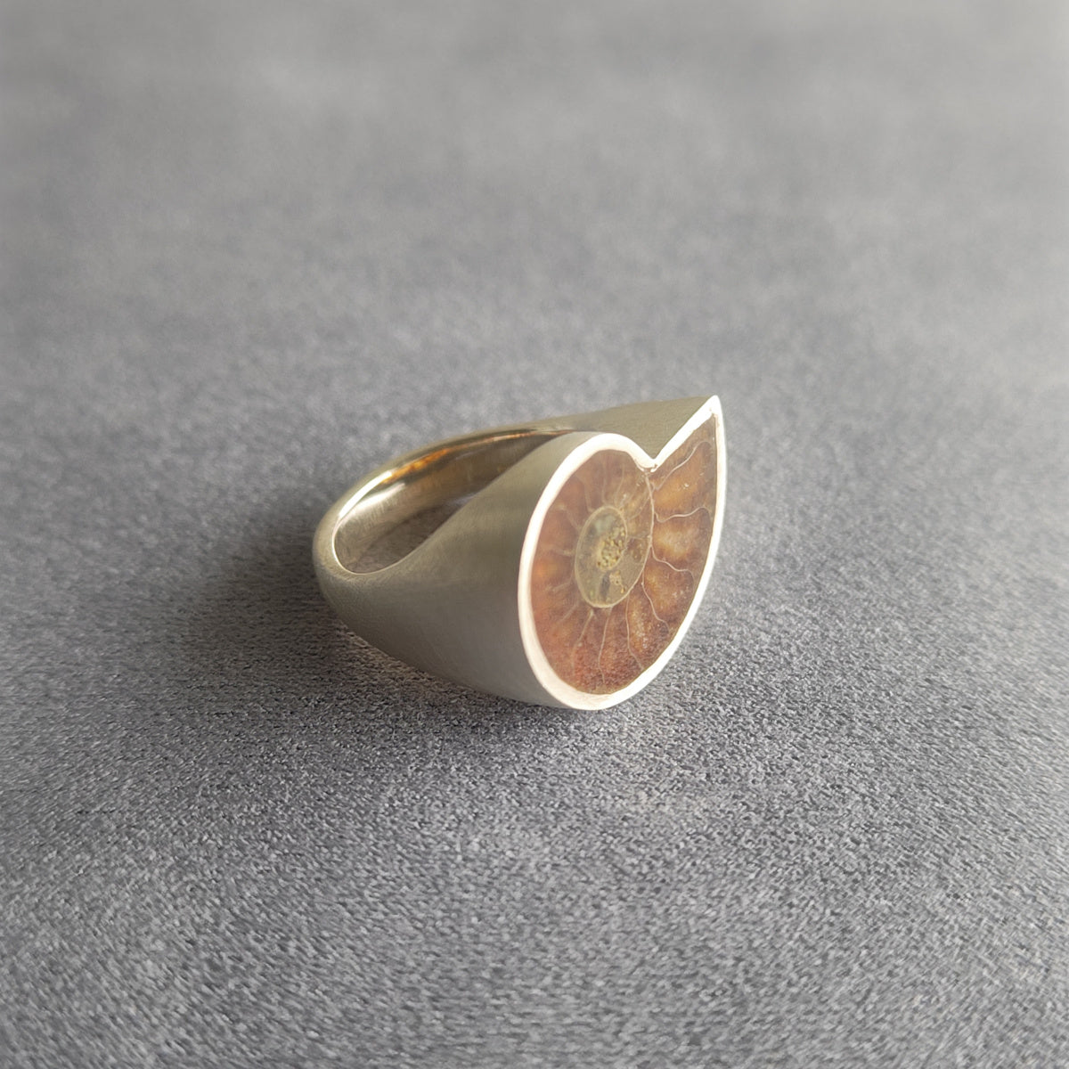 No.0005 Ammonite Signet Ring #13