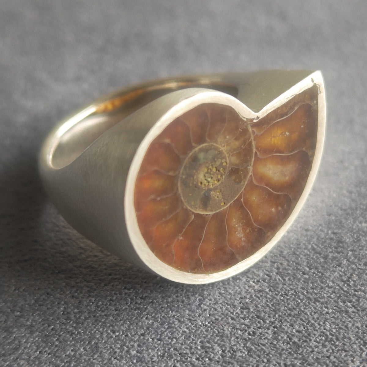 No.0005 Ammonite Signet Ring #13