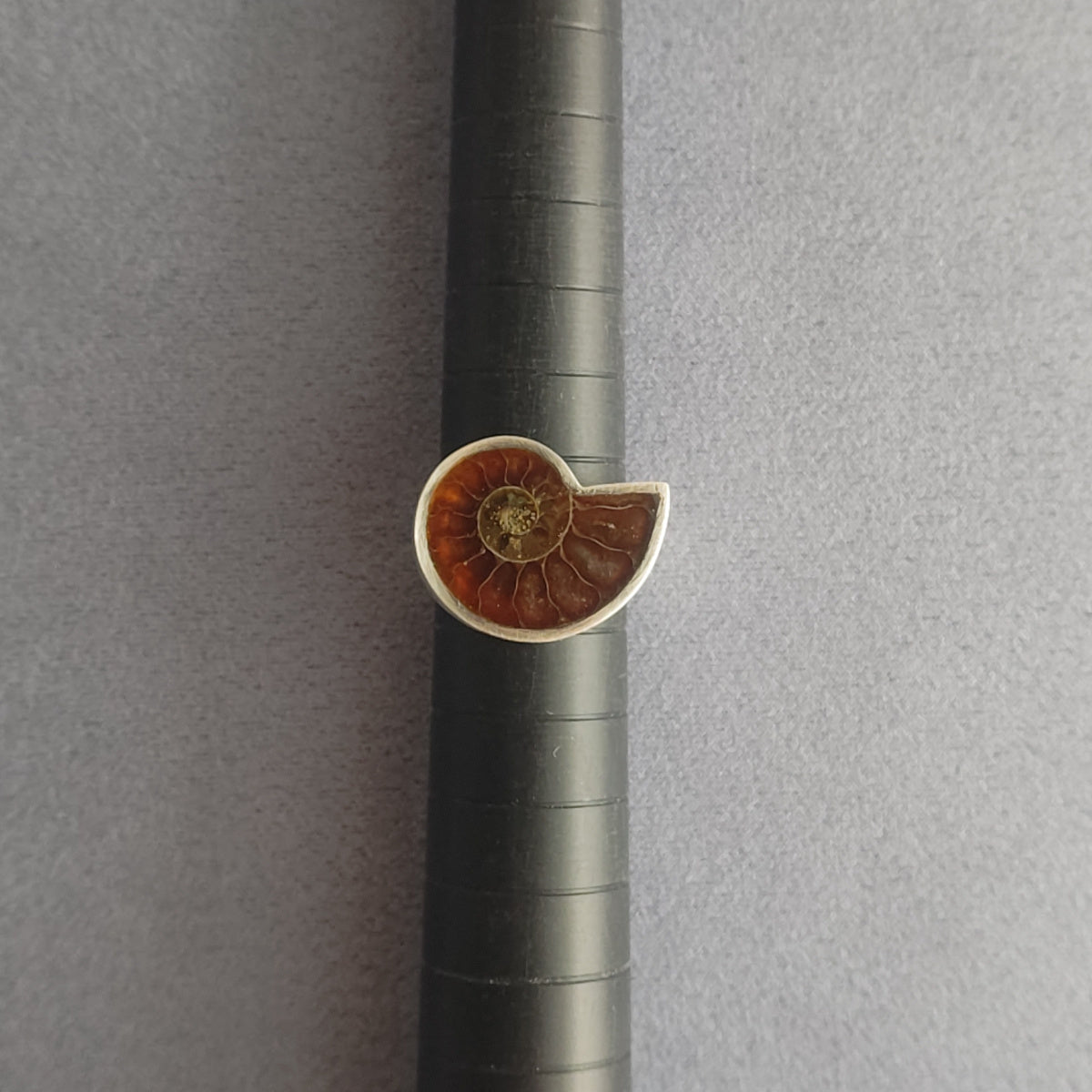 No.0005 Ammonite Signet Ring #13