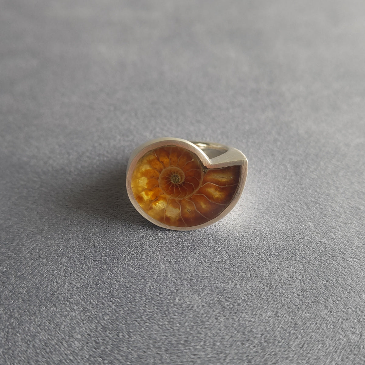 No.0006 Ammonite Signet Ring #15