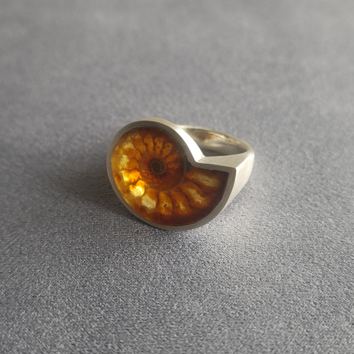 No.0006 Ammonite Signet Ring #15