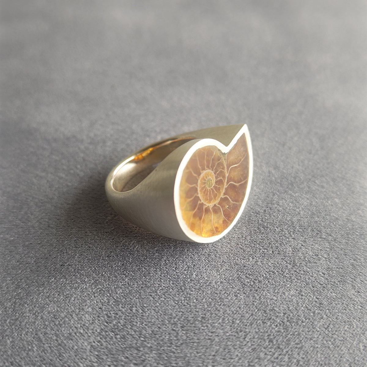 No.0006 Ammonite Signet Ring #15