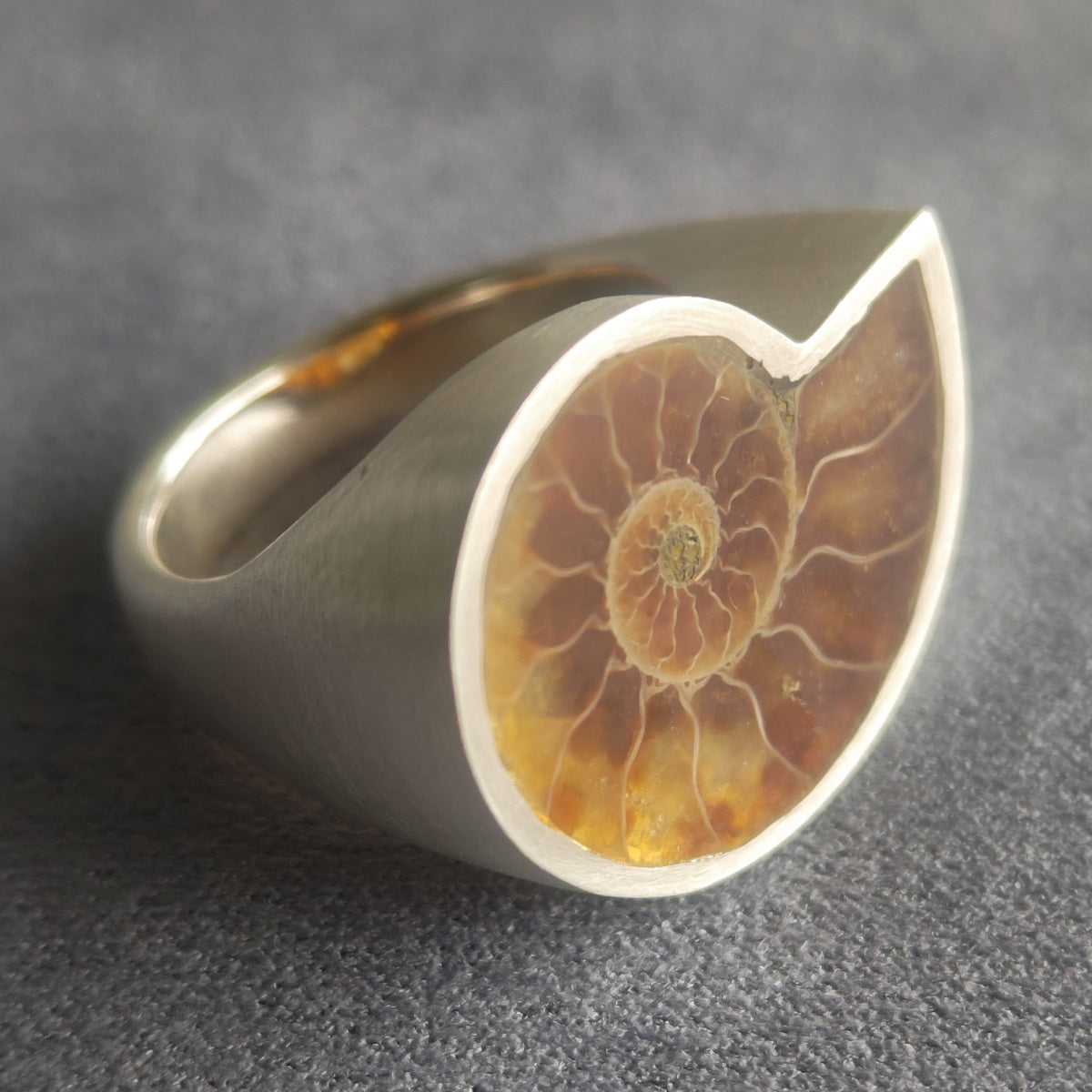No.0006 Ammonite Signet Ring #15