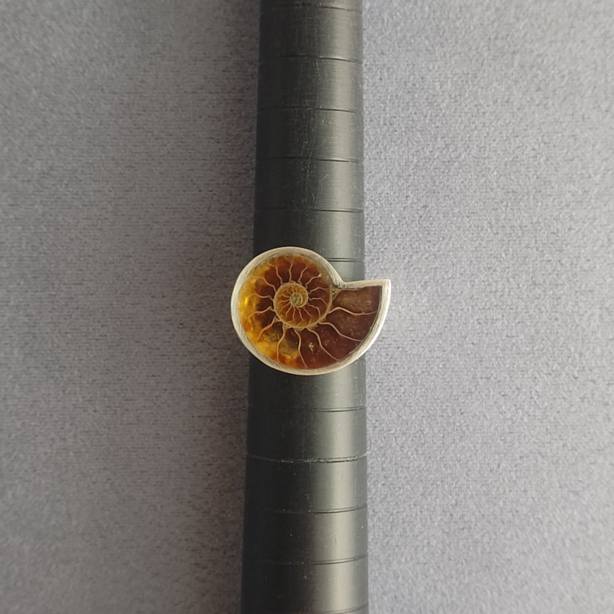 No.0006 Ammonite Signet Ring #15
