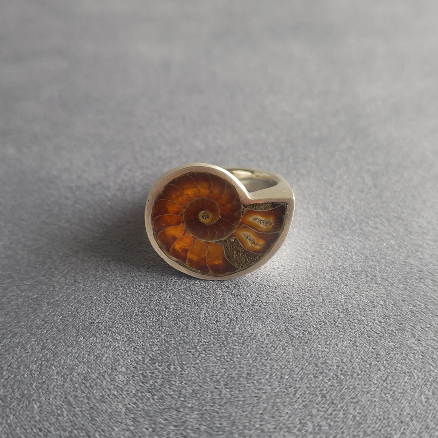 No.0007 アンモナイト シグネットリング #17