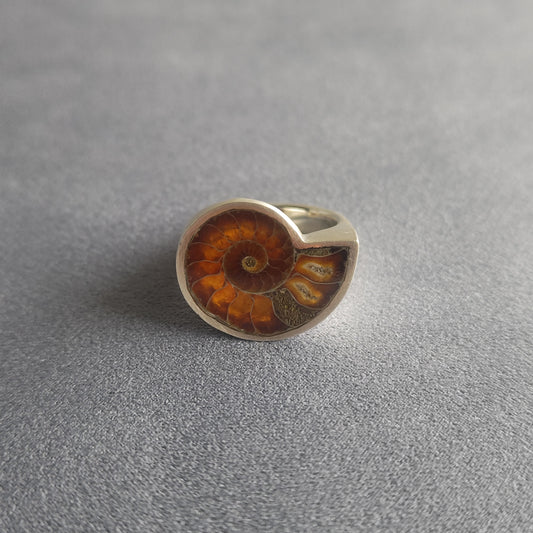 No.0007 アンモナイト シグネットリング #17