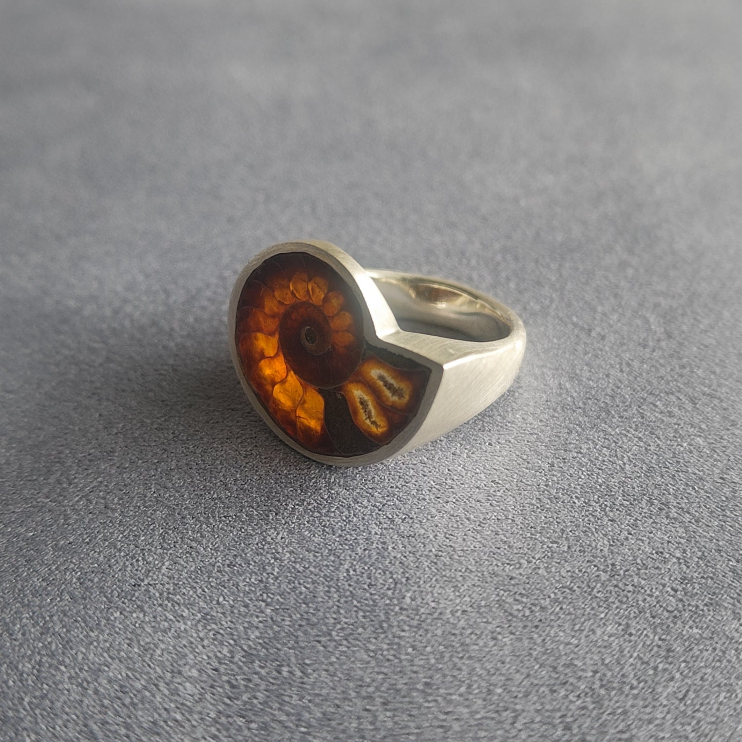 No.0007 アンモナイト シグネットリング #17