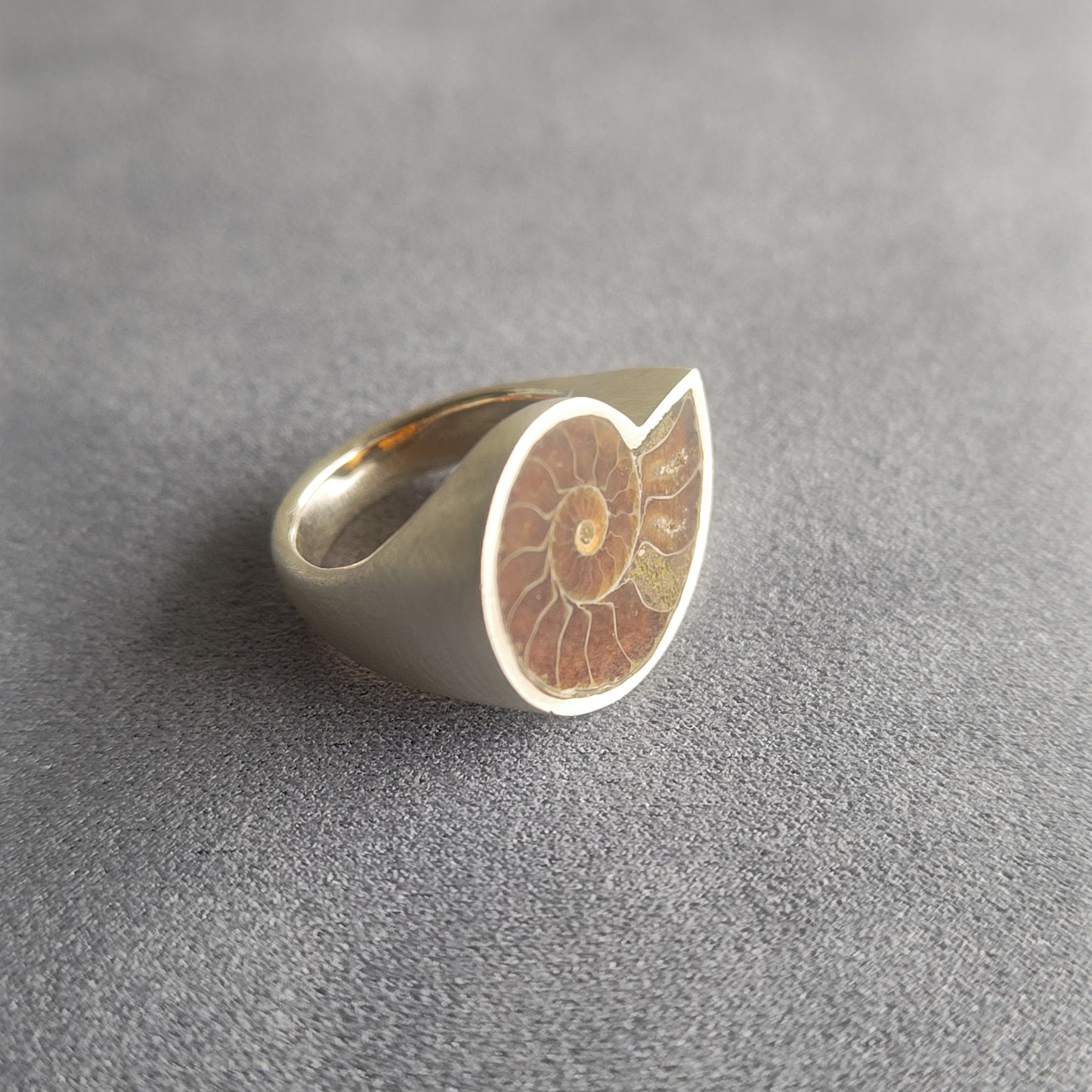 No.0007 アンモナイト シグネットリング #17