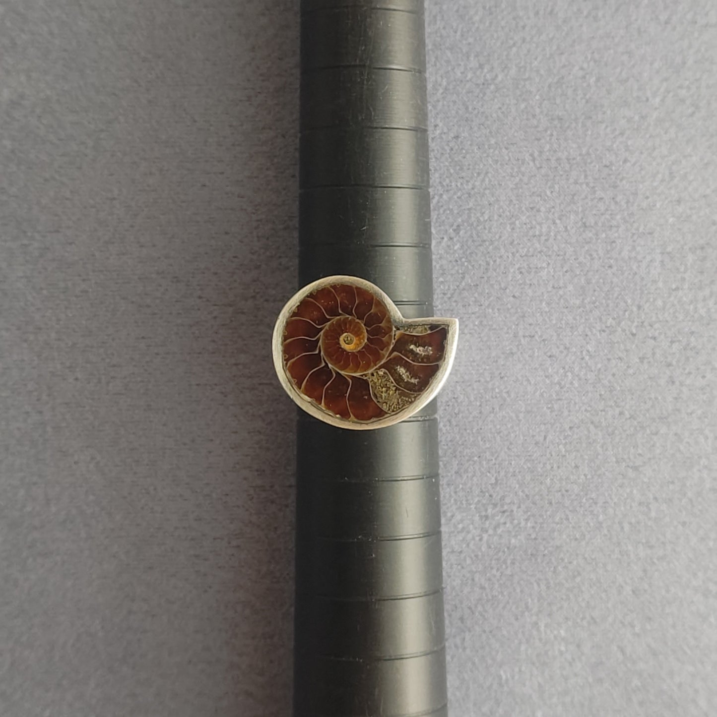 No.0007 アンモナイト シグネットリング #17