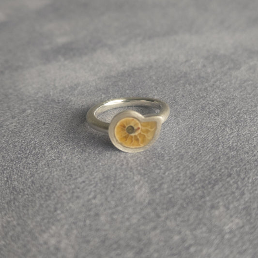 No.0025 アンモナイト リング - Small  #9