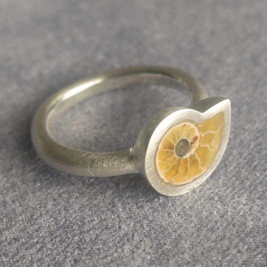 No.0025 アンモナイト リング - Small  #9
