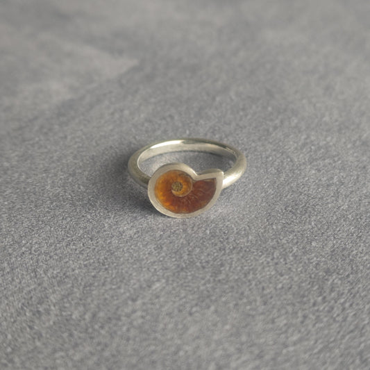 No.0027 アンモナイト リング - Small  #13