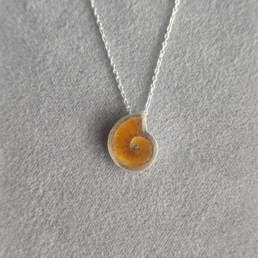 No.0030 アンモナイト ネックレス - Small