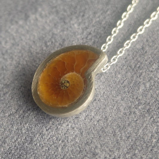 No.0030 アンモナイト ネックレス - Small