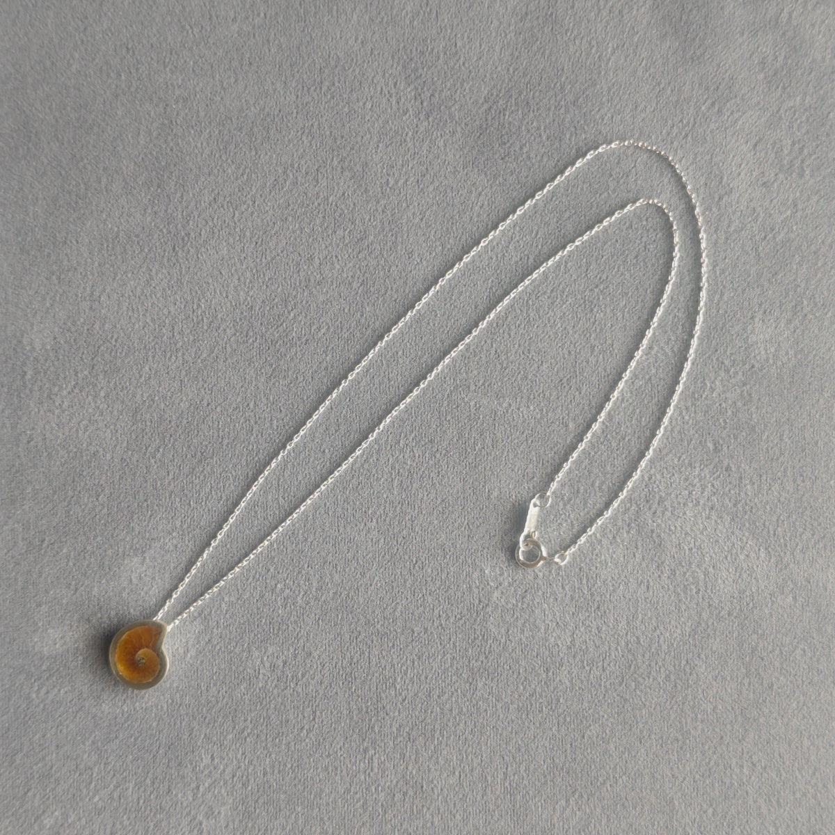 No.0030 Ammonite Necklace - Small