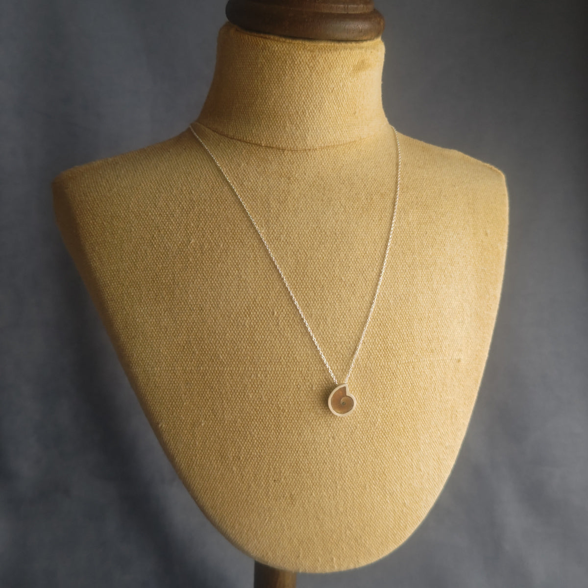 No.0030 Ammonite Necklace - Small