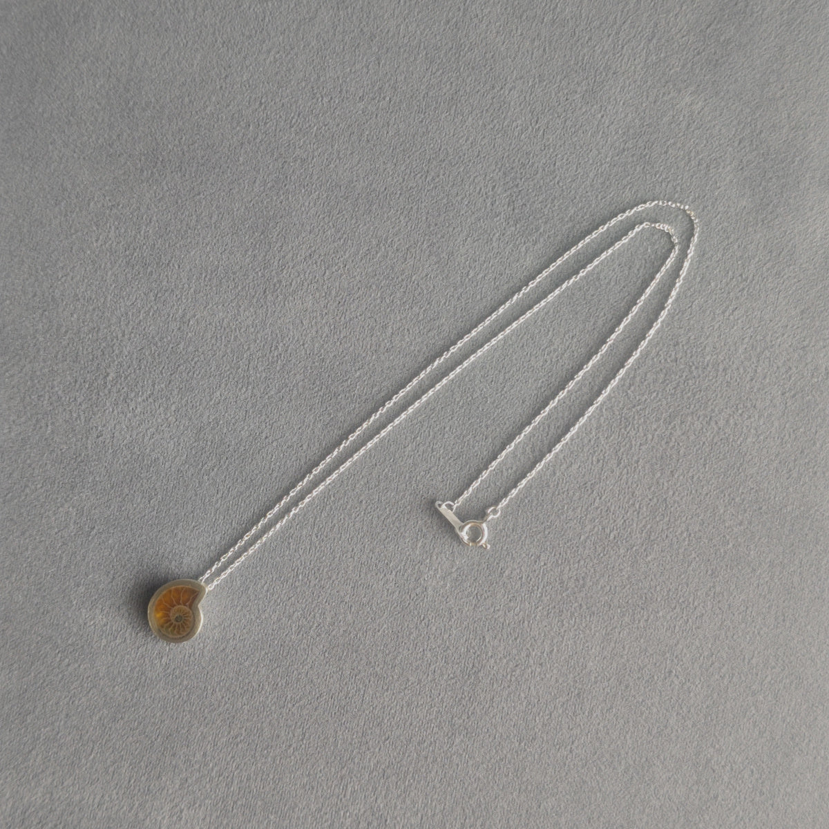 No.0032 Ammonite Necklace - Small