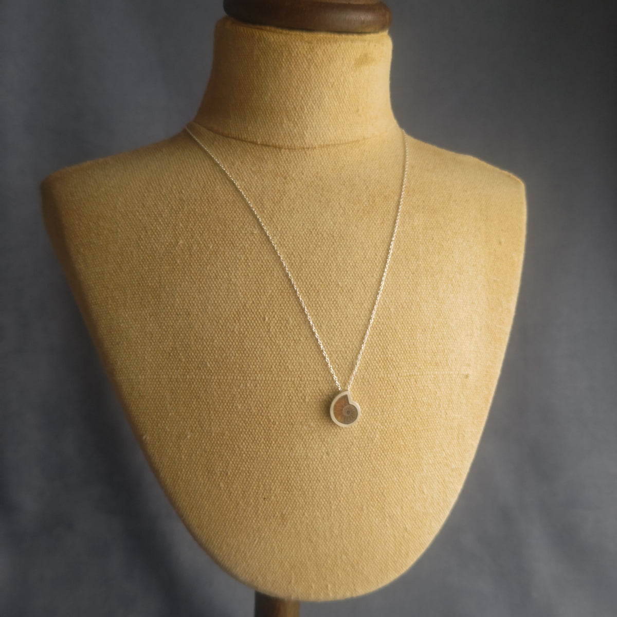No.0032 Ammonite Necklace - Small